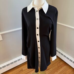 NWT Zara Long Sleeve Mini Dress